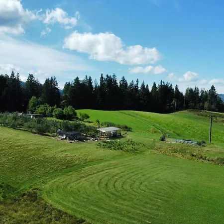 Marta M 자코파네